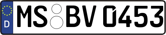 MS-BV0453