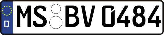 MS-BV0484
