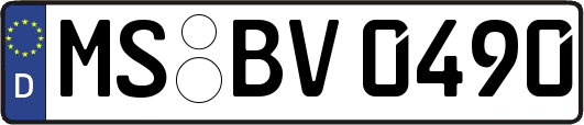 MS-BV0490
