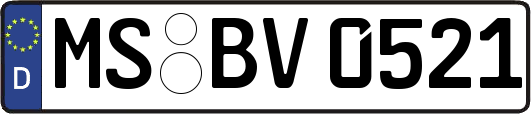 MS-BV0521
