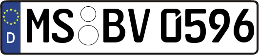 MS-BV0596
