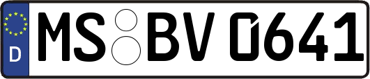 MS-BV0641