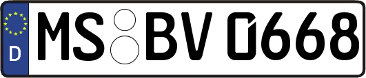 MS-BV0668