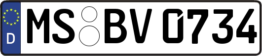 MS-BV0734