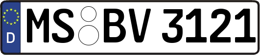 MS-BV3121