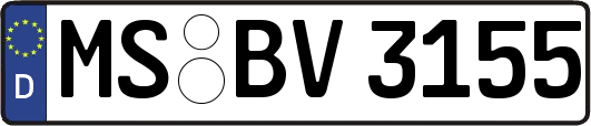 MS-BV3155