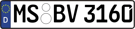 MS-BV3160