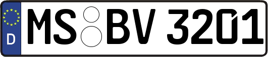MS-BV3201