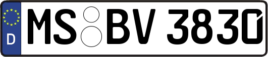 MS-BV3830