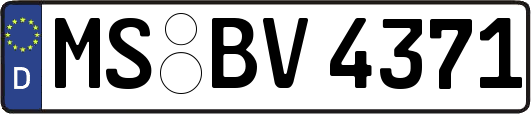 MS-BV4371