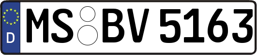 MS-BV5163