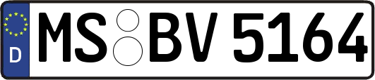 MS-BV5164