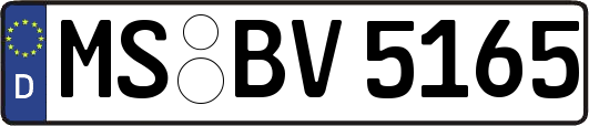 MS-BV5165