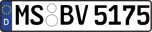 MS-BV5175