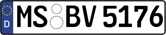 MS-BV5176