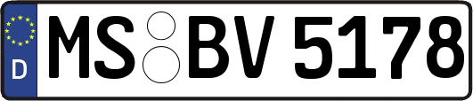 MS-BV5178