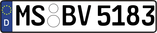 MS-BV5183