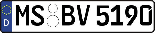 MS-BV5190
