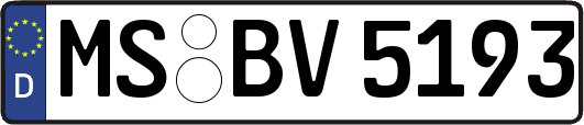 MS-BV5193