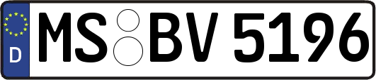 MS-BV5196