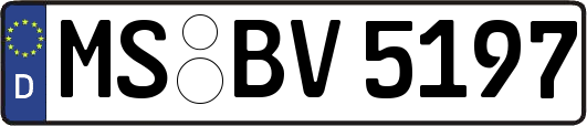 MS-BV5197