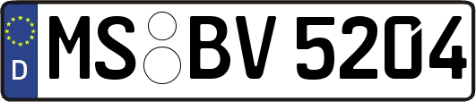 MS-BV5204