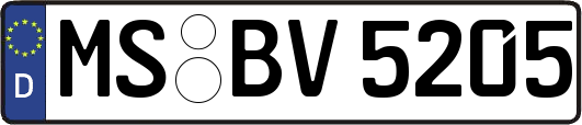 MS-BV5205