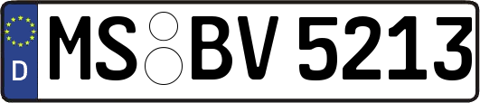 MS-BV5213