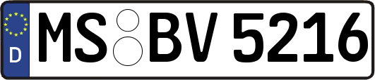 MS-BV5216