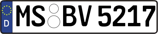 MS-BV5217