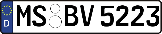 MS-BV5223