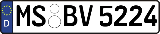 MS-BV5224