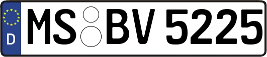 MS-BV5225