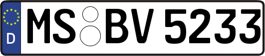 MS-BV5233