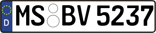 MS-BV5237