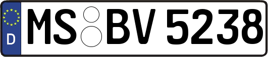 MS-BV5238