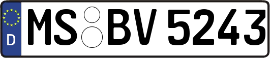 MS-BV5243