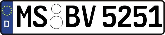 MS-BV5251