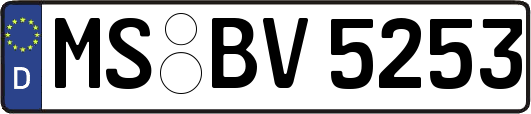 MS-BV5253