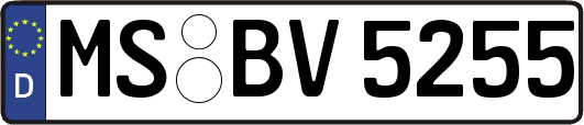 MS-BV5255