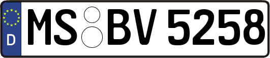 MS-BV5258