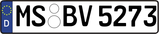 MS-BV5273