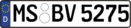 MS-BV5275