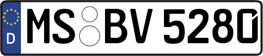 MS-BV5280