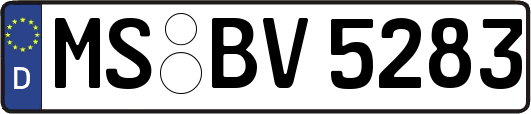 MS-BV5283