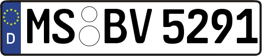 MS-BV5291