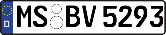 MS-BV5293