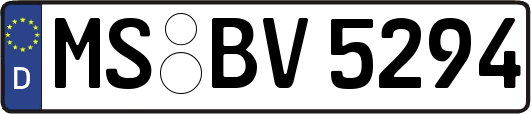 MS-BV5294