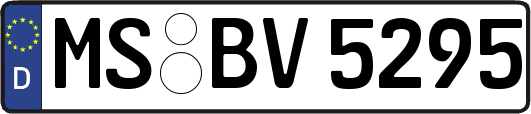 MS-BV5295