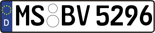 MS-BV5296